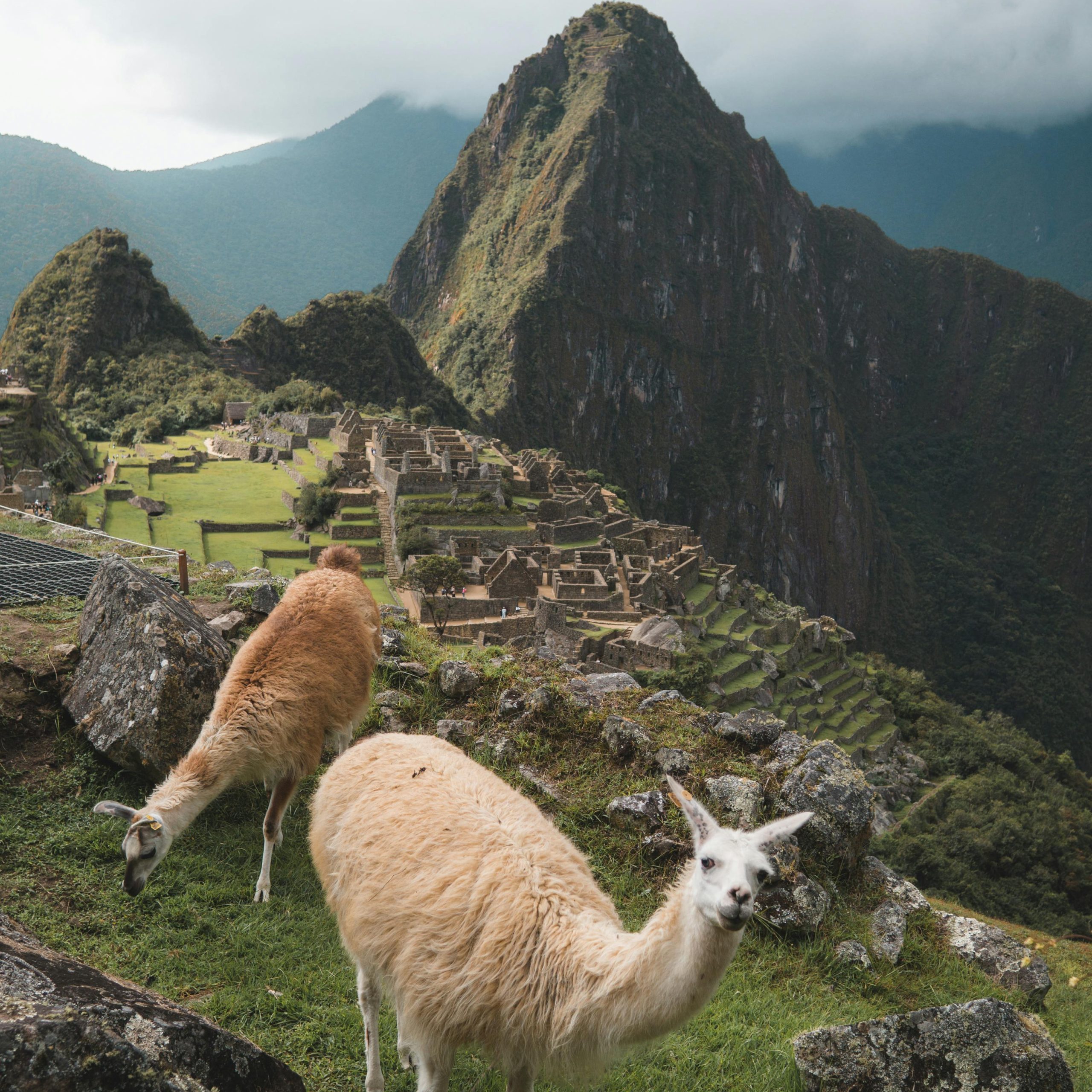 DeluxTravel