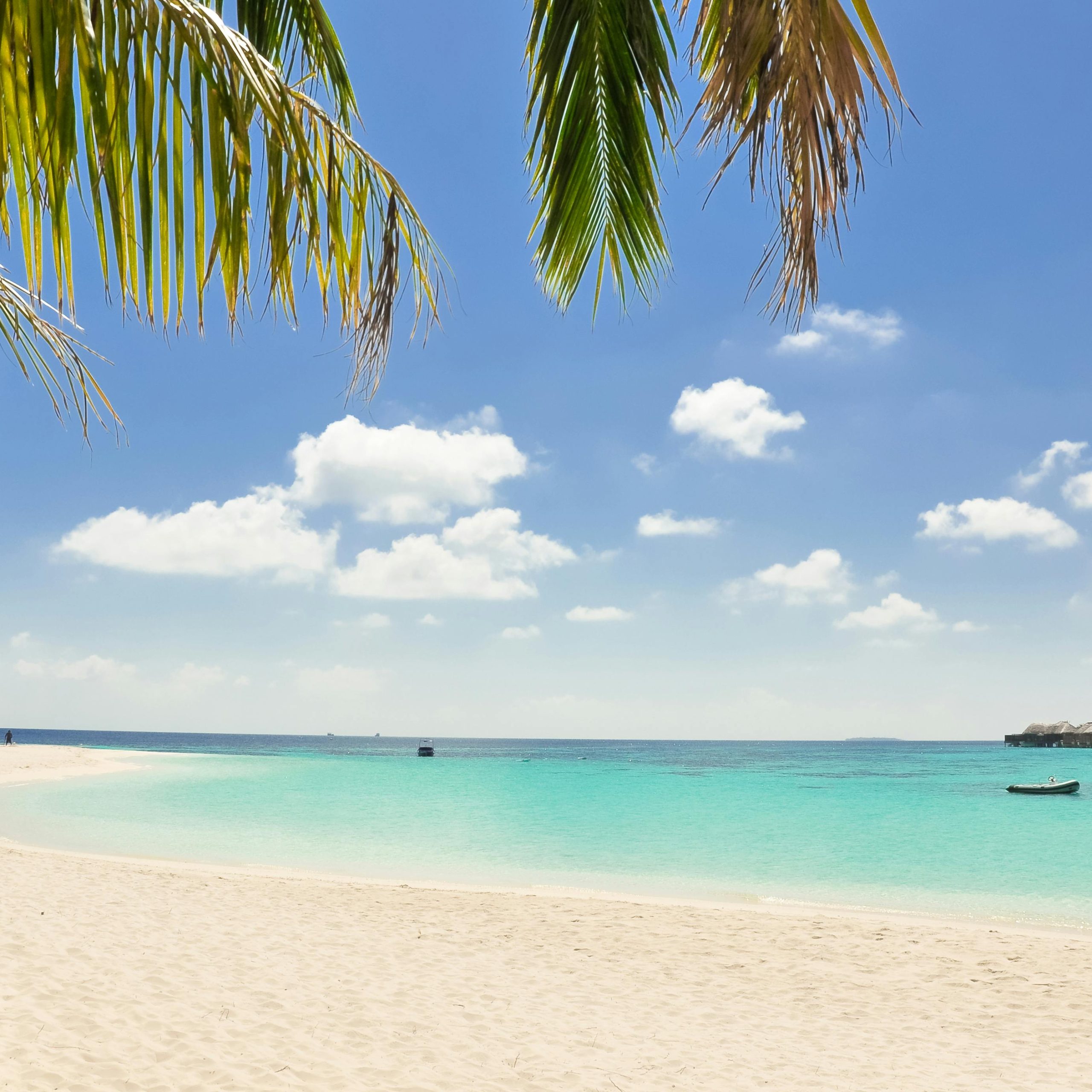 DeluxTravel