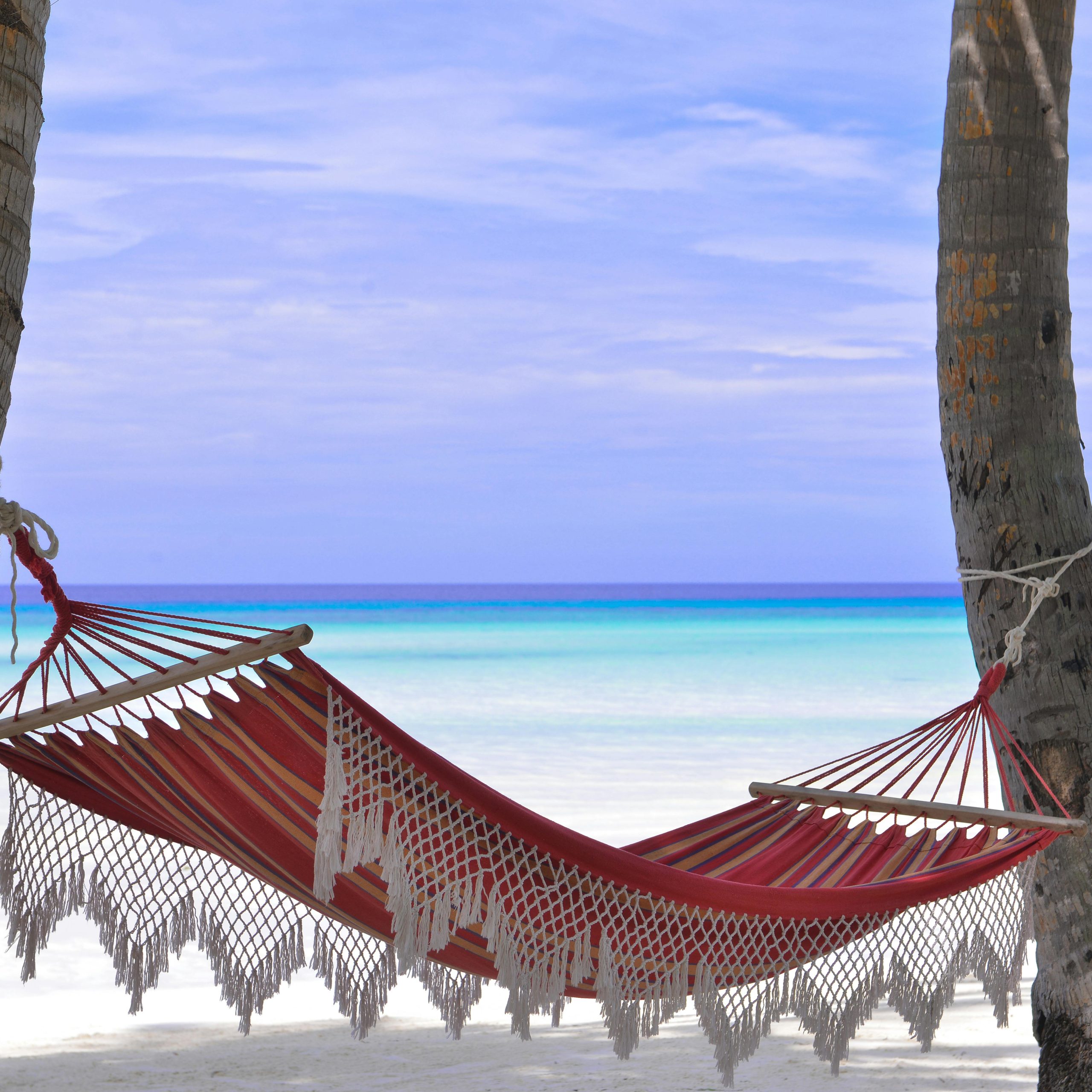 DeluxTravel