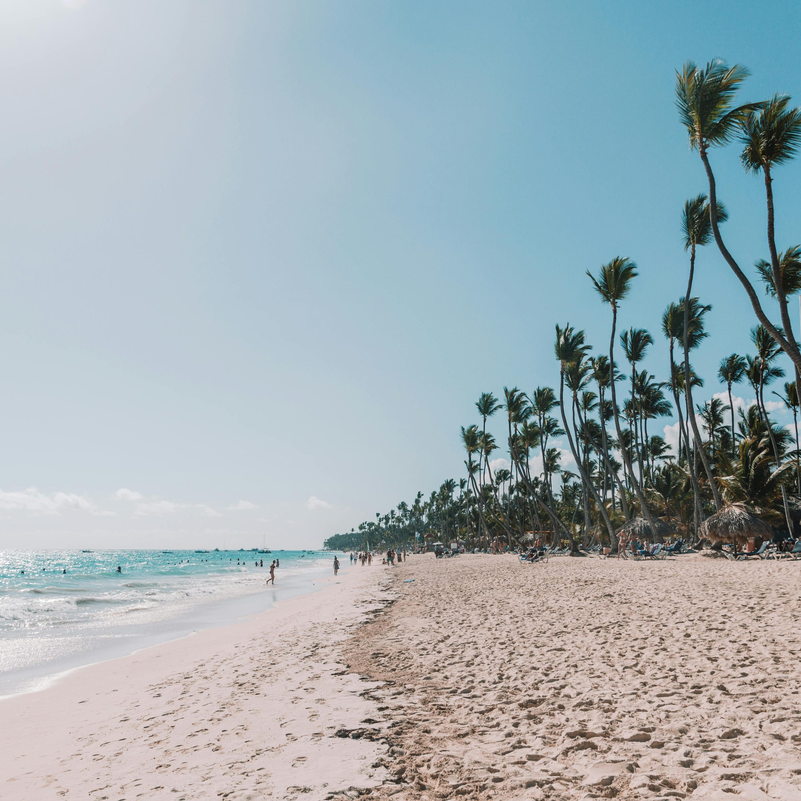 Caribe