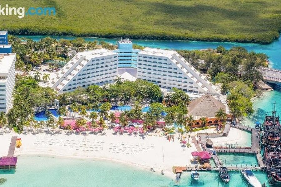 Grand Oasis Palm