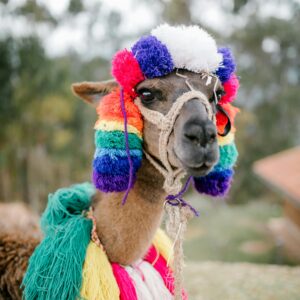 LO MEJOR DE CUSCO