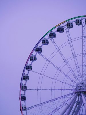 pexels-olivia-yi-140937561-17717614